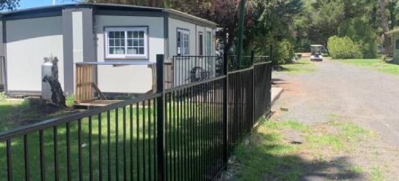 Blue Sapphire Pet Friendly Studio图片