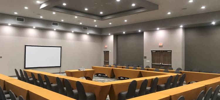 克利奇站温德姆花园酒店(Wyndham Garden College Station)图片