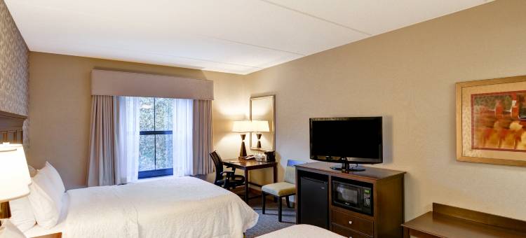 希尔顿欢朋酒店-唐克汉诺克(Hampton Inn Tunkhannock)图片