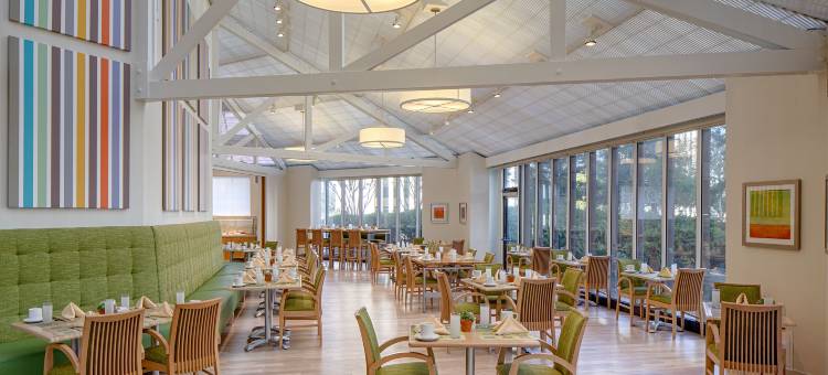 格林威广场休斯顿希尔顿逸林酒店(DoubleTree by Hilton Hotel Houston - Greenway Plaza)图片