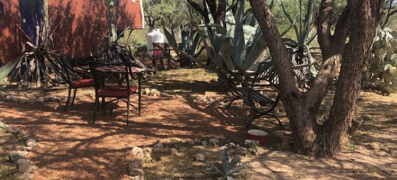 Ranchito Paraiso: Artsy Farm Stay in the Desert图片