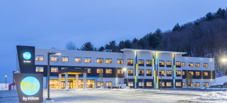 维斯塔尔希尔顿Tru酒店(Tru by Hilton Binghamton Vestal)图片