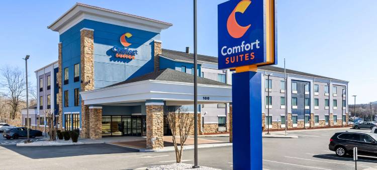 塞勒姆罗阿诺克I-81舒适套房酒店(Comfort Suites Salem-Roanoke I-81)图片