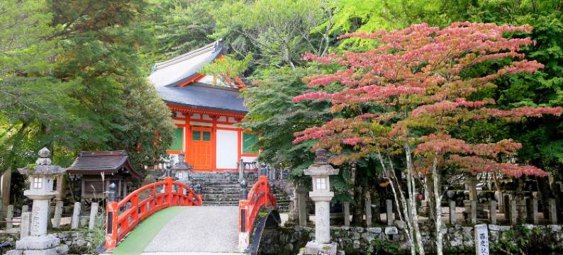 堂川温泉市丸旅馆(Dorogawa Onsen Ichimaru Ryokan)图片