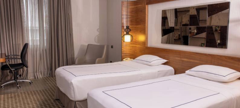 安卡拉海葵酒店(Anemon Kent Ankara Otel)图片