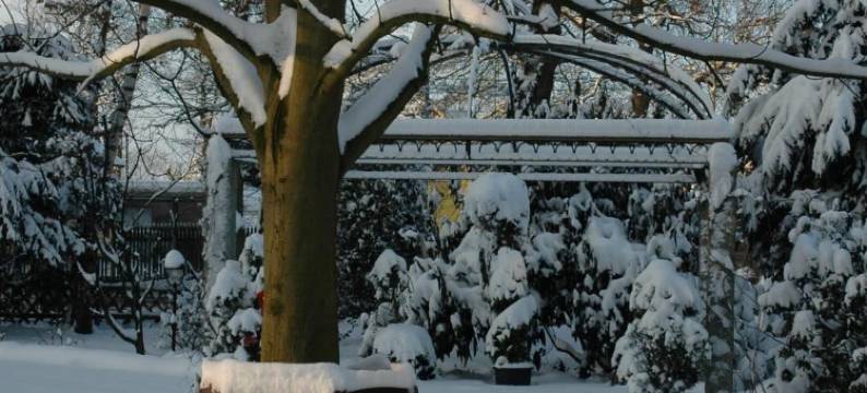 布鲁迪克餐厅酒店(Hotel Restaurant Bullerdieck)图片