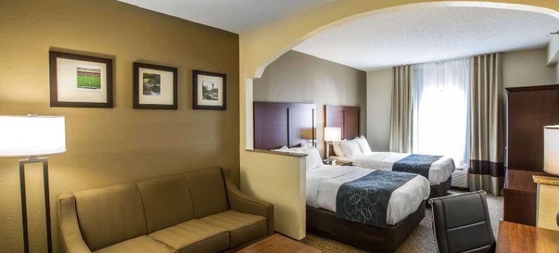 品质套房酒店(Quality Suites)图片