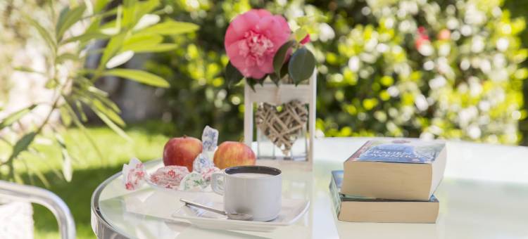 Smart-HOTEL 米努西奥，瑞士品质酒店(Smart-HOTEL MINUSIO, a Swiss Quality Hotel)图片