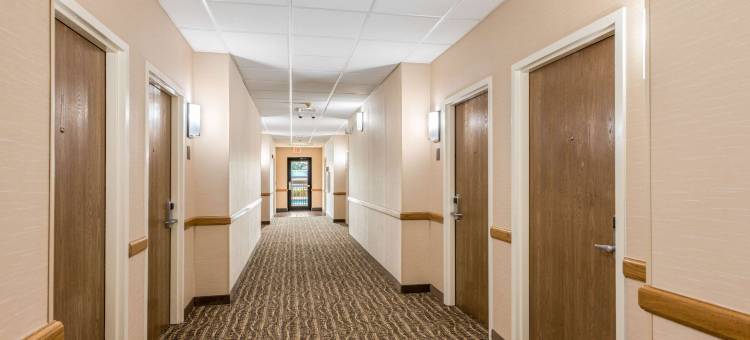 门罗舒适套房酒店(Comfort Suites Monroe)图片