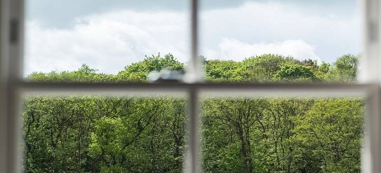 船屋酒店(The Boathouse)图片