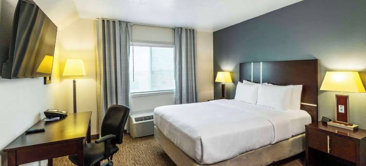 舒适套房酒店(Comfort Inn & Suites)图片