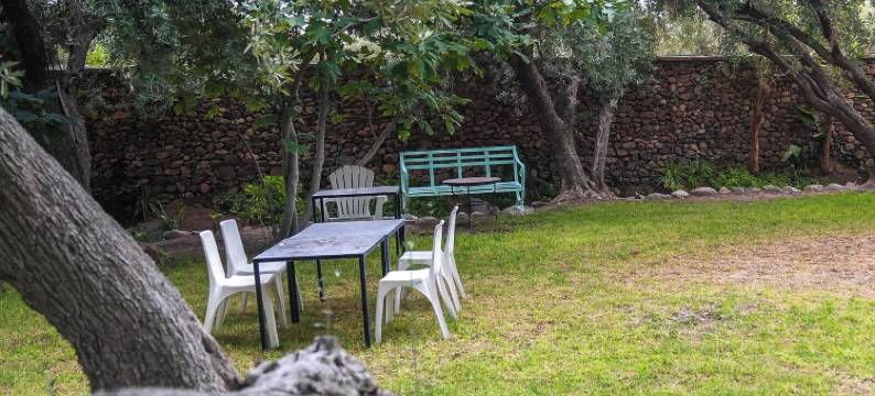 萨基亚塔拉曼祖(Sakia Talamanzou)图片