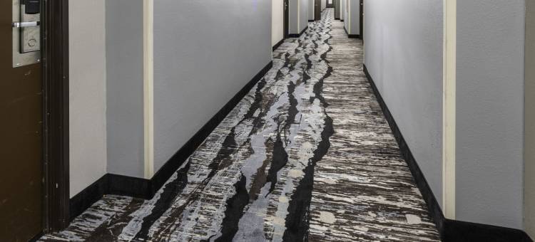 凯艺酒店(Quality Inn & Suites)图片