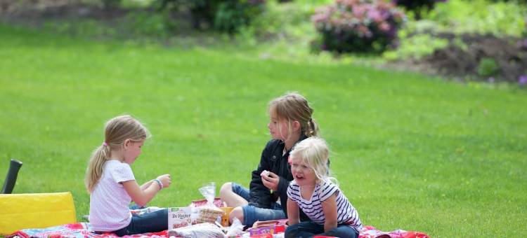 Bedafse Bergen的有露台的平房(Bungalow with a Terrace at Bedafse Bergen)图片