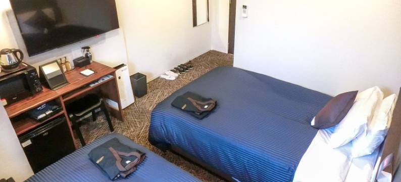 利夫马克斯高级天然温泉酒店-广岛店(HOTEL LiVEMAX PREMIUM Hiroshima)图片