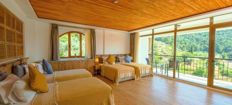 以弗所静修处(EPHESUS  RETREAT)图片
