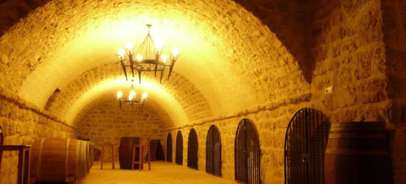 特拉斯卡萨帕格酒店(Pago de Trascasas)图片