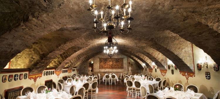 马提姆姆斯切鲁斯伽坦酒店(Maritim Hotel am Schlossgarten)图片