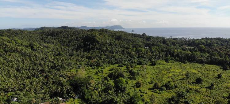 唐可可保护区水疗别墅(Tangkoko Sanctuary Villa & Spa)图片