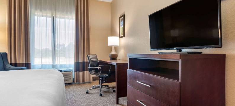 舒适酒店及套房(Comfort Inn & Suites)图片