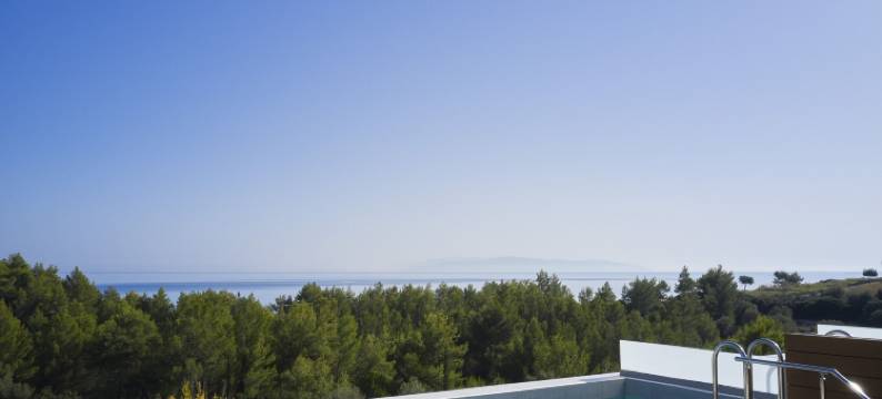 天堂全套房酒店(Celestial All Suites)图片