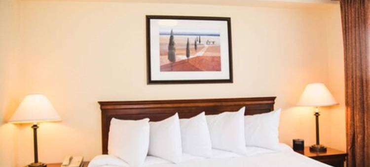 伦敦南丽怡酒店(Country Inn & Suites by Radisson, London South, on)图片