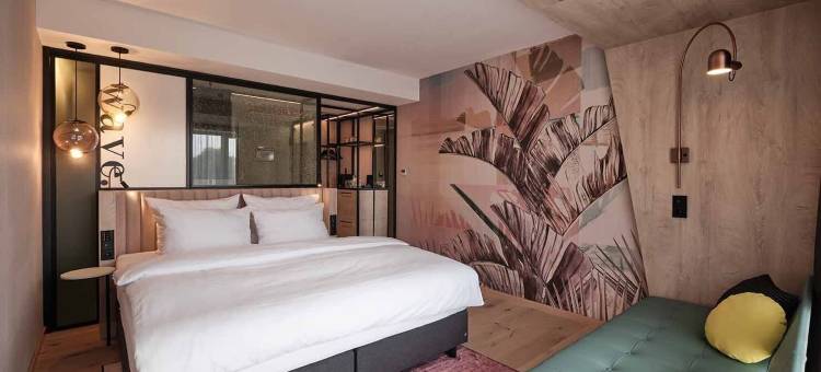 火烈鸟(The Flamingo)图片