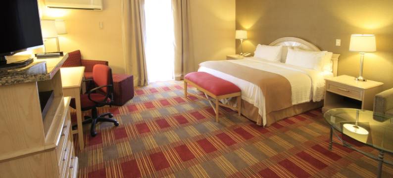 蒙克洛瓦假日酒店(Holiday Inn MONCLOVA by IHG)图片