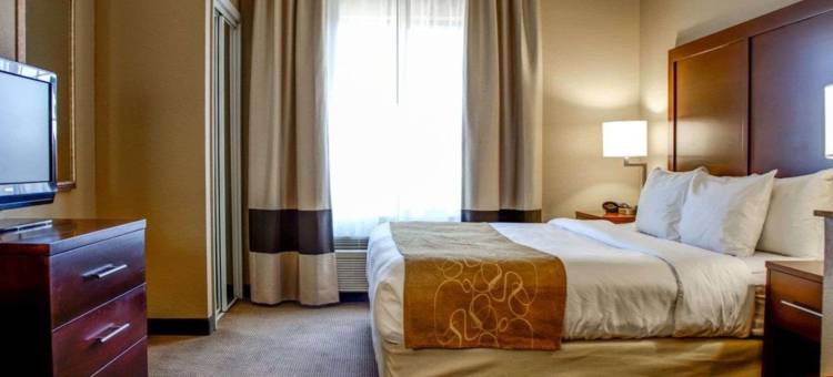 阿塔拉加兹登舒适套房酒店(Comfort Suites Gadsden Attalla)图片