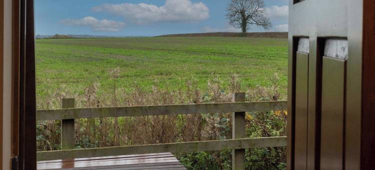 卡林顿阿姆斯酒店(The Carrington Arms)图片