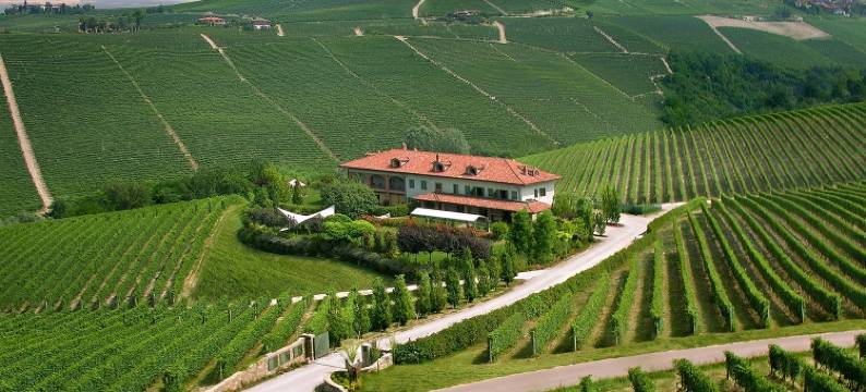 巴拉克农庄(Cascina Baràc)图片