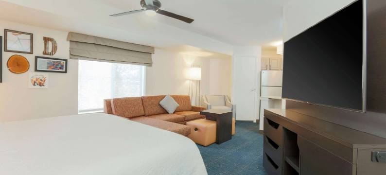 丹佛科技中心欢朋套房酒店(Hampton Inn & Suites Denver Tech Center)图片