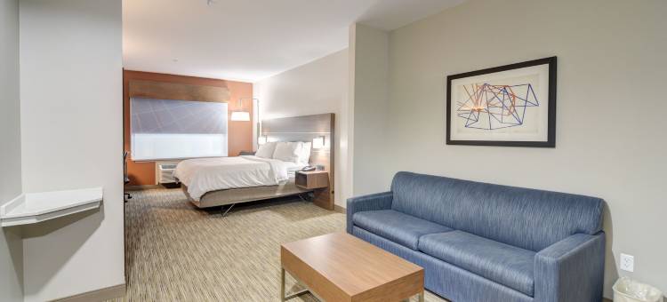 智选假日套房酒店弗利(Holiday Inn Express & Suites Foley - N Gulf Shores)图片