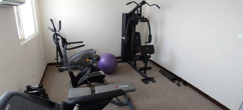 尼米拉那斯达利特套房酒店(Starlit Suites Neemrana)图片