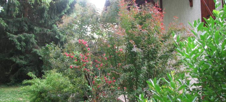 勒帕斯德安住宿加早餐旅馆(Le Pas de l'Ane Chambres d'hôtes)图片