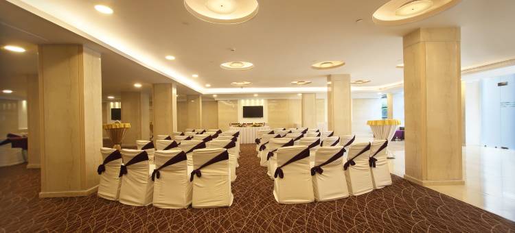 巴特那孔雀酒店(Hotel Maurya)图片