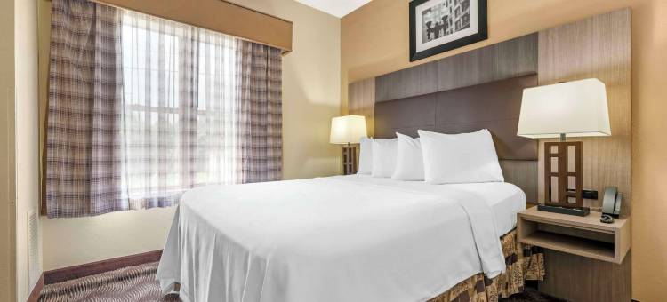 品质套房酒店(Quality Suites)图片