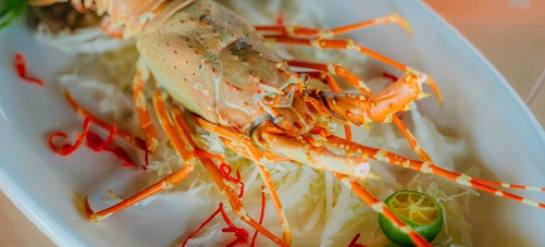 民丹岛别墅(De Bintan Villa)图片