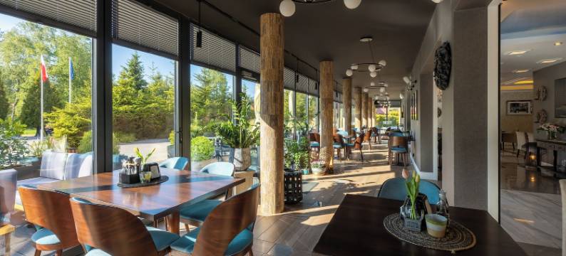 布林斯兹泰恩水疗休养酒店(Bursztyn Medical Spa & Wellness)图片