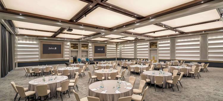 布加勒斯特丽笙酒店(Radisson Blu Hotel Bucharest)图片