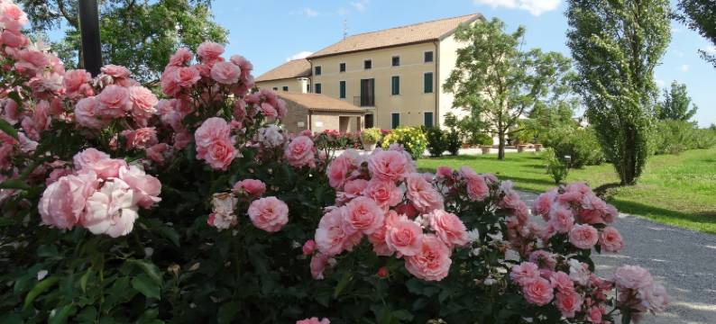 琉璃玫瑰庭院农家乐(Millefiori la Corte Delle Rose)图片