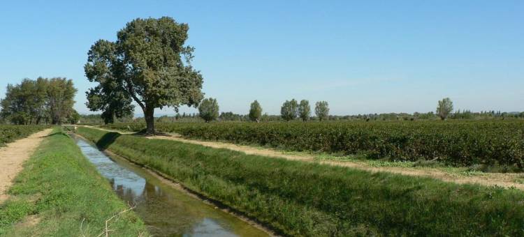 博普雷多麦纳旅馆(Chambres d'hôtes Domaine de Beaupré)图片
