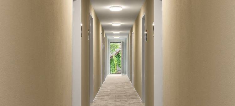 bsmart汽车旅馆阿姆里斯维尔(B_Smart Motel Amriswil)图片