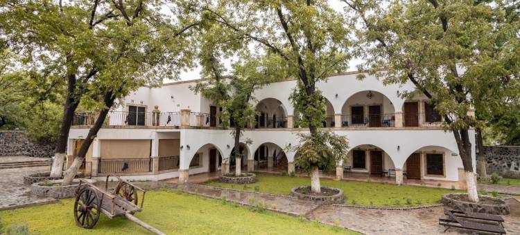 洛斯维涅多斯大酒店(Los Viñedos Gran Hotel)图片