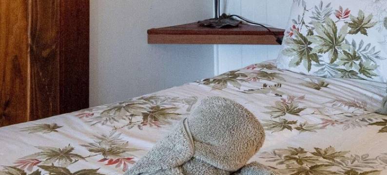 Uniquely Pambula- an inviting cottage with warmth & rustic charm *Pet-friendly图片