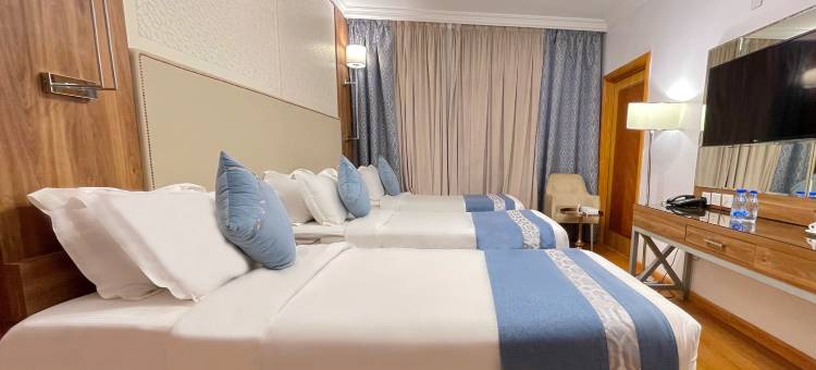 麗兹阿尔马地纳酒店(Al Ritz Al Madinah)图片