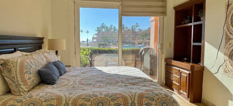 海星(Estrella de Mar)图片