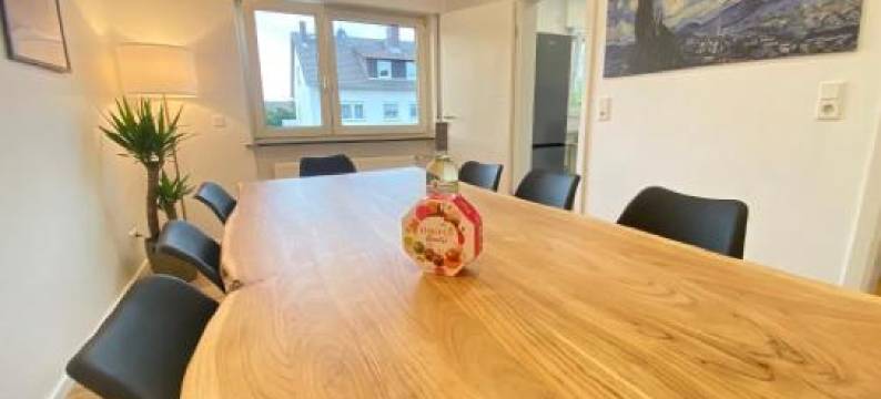 Lux Apartment Near Frankfurt!图片