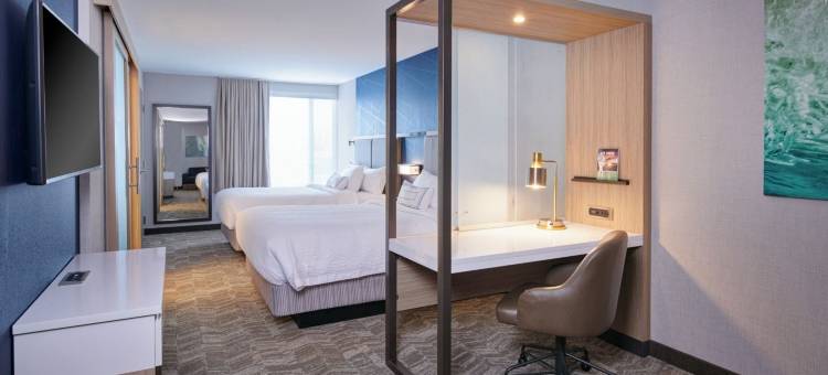 底特律威克森万豪SpringHill Suites酒店(SpringHill Suites by Marriott Wixom Novi)图片