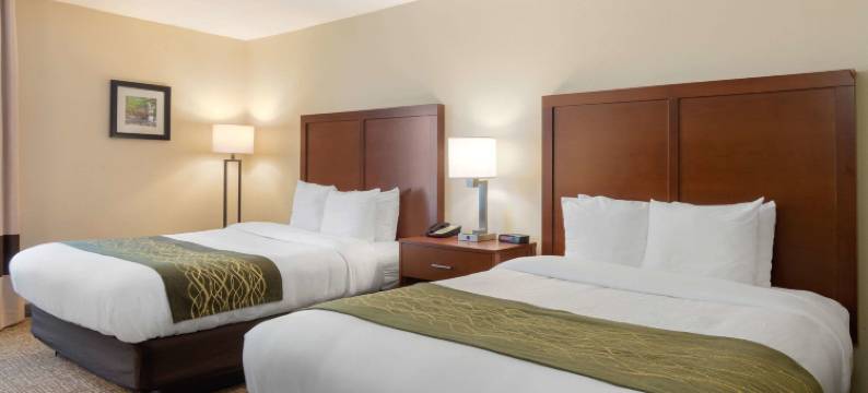道格拉斯维尔舒适酒店(Comfort Inn Douglasville - Atlanta West)图片